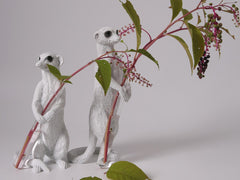 Meerkat X Vase