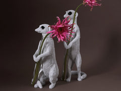 Meerkat X Vase