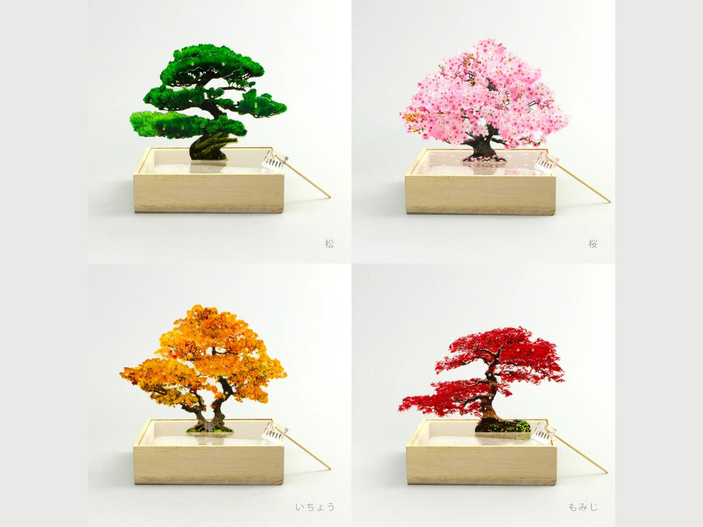 Bonsai Mini Set of 4
