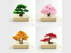 Bonsai Mini Set of 4