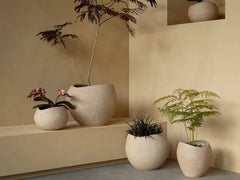 Plantas Planter