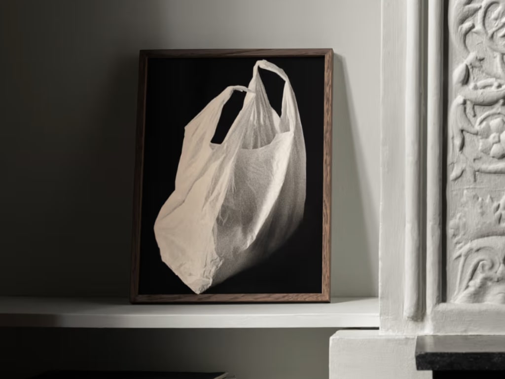 Plastic Bag