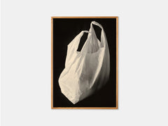 Plastic Bag