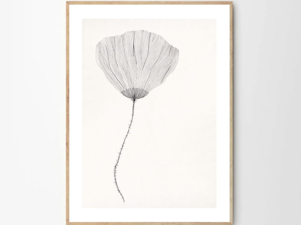 Poppy