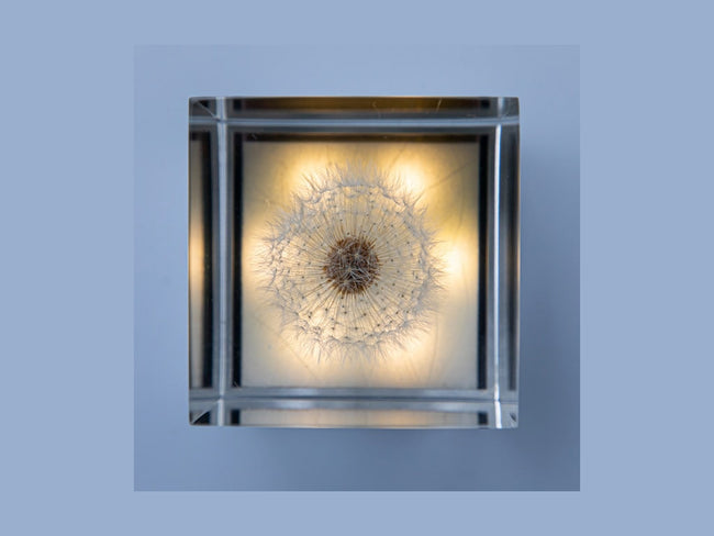 TAMPOPOLight_4-min_650x.jpg?v=