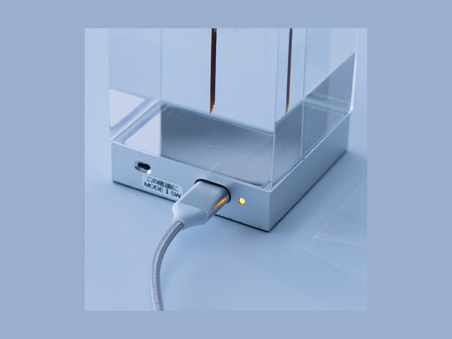 TAMPOPO 井上隆夫　本物のたんぽぽを封印　アート　オブジェ　美品 本物のたんぽぽをアクリルに封入 – OLED TAMPOPO ライト – もら