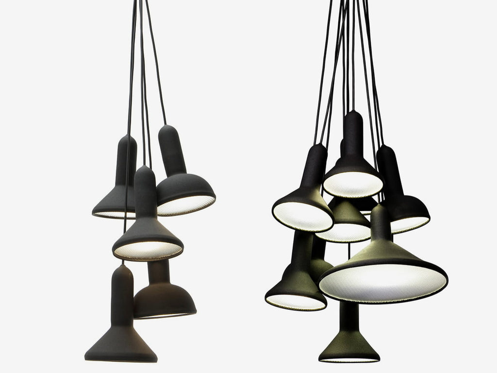 Torch Light Bunch