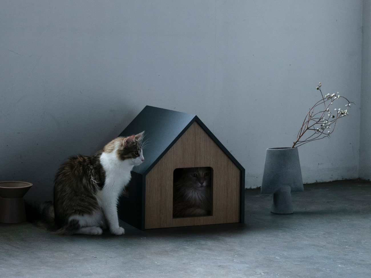 外猫ハウス　キャットハウス hutte_1-min_1300x.jpg?v=1730447810