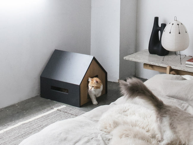 HÜTTE Cat House | ヒュッテキャットハウス by &CAT | Generate Design