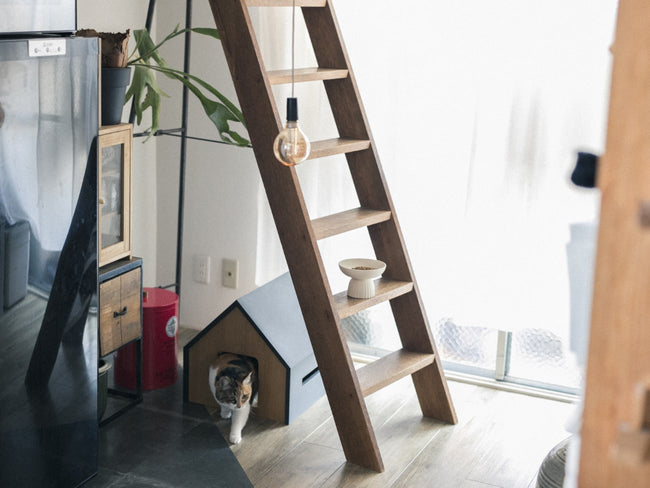 HÜTTE Cat House | ヒュッテキャットハウス by &CAT | Generate Design
