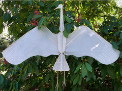 Crane Kite