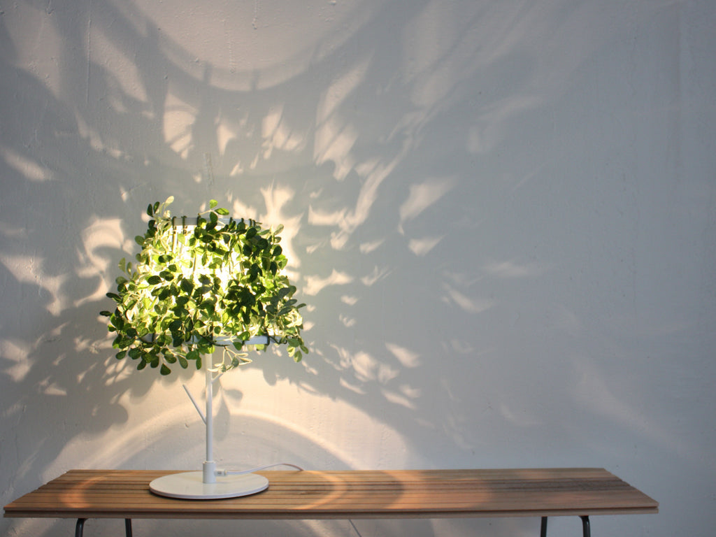 Foresti Table Lamp