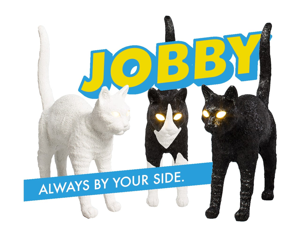 Jobby The Cat