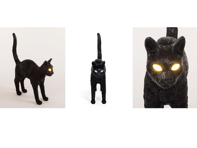 JobbyTheCat_5-min_650x.jpg?v=