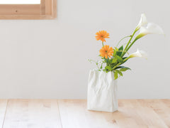 New Crinkle Super Bag