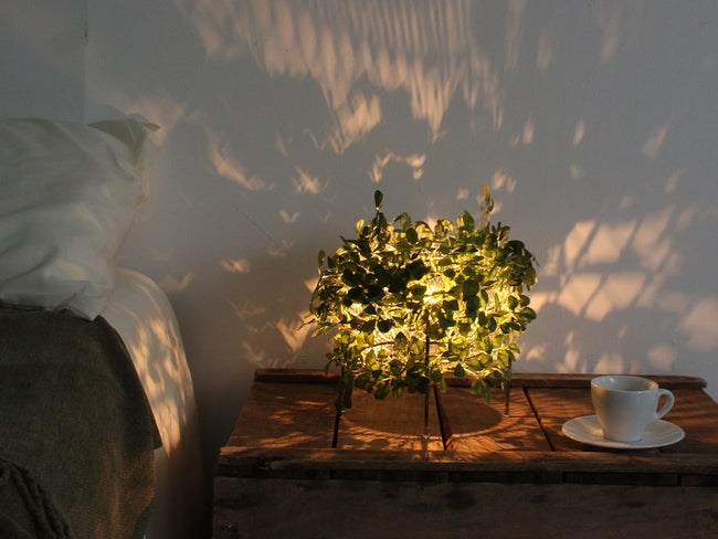 Orland Table Lamp | オーランドテーブルランプ by Di Classe Orland Table Lamp | オーランドテーブルランプ by Di Classe
