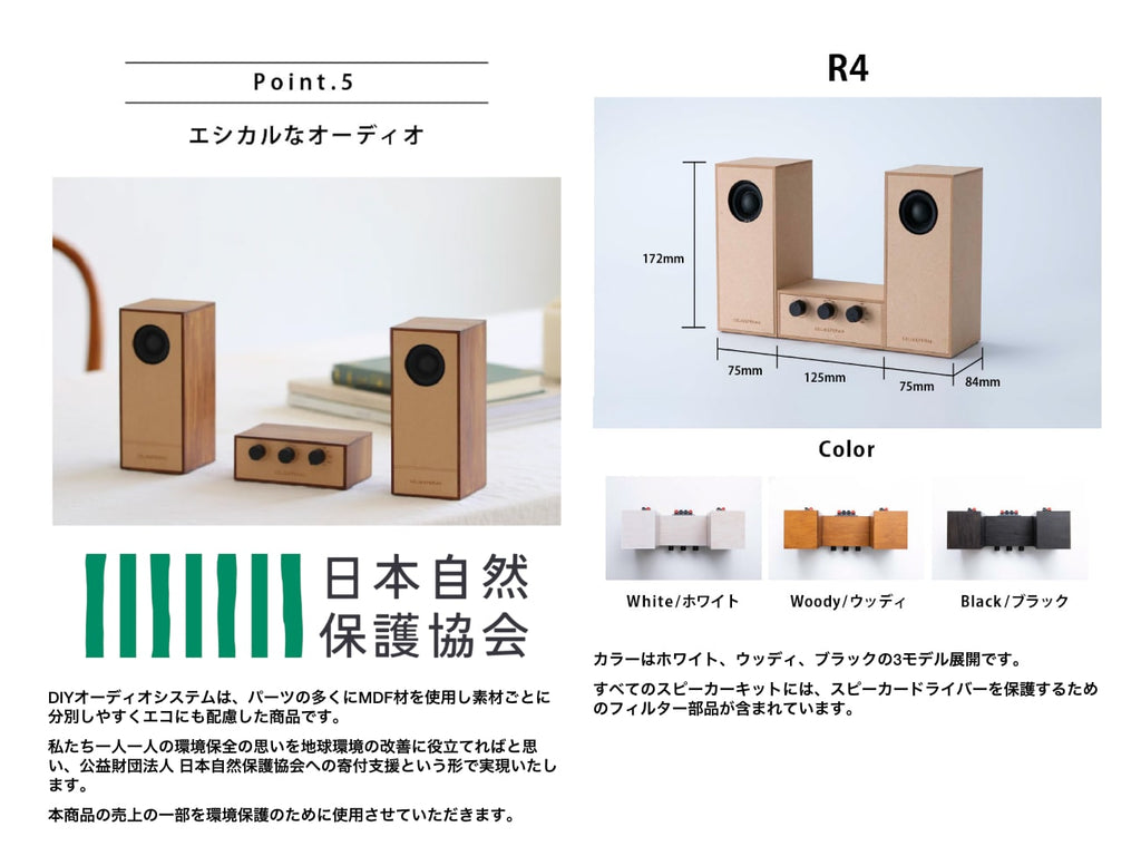 R4 DIY Bluetooth Radio