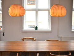 TR12 Pendant Lamp