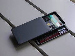 Zenlet 2+