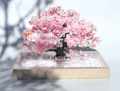 Bonsai Sakura