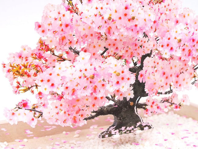 bonsai_sakura_2-min_650x.jpg?v bonsai_sakura_2-min_650x.jpg?v