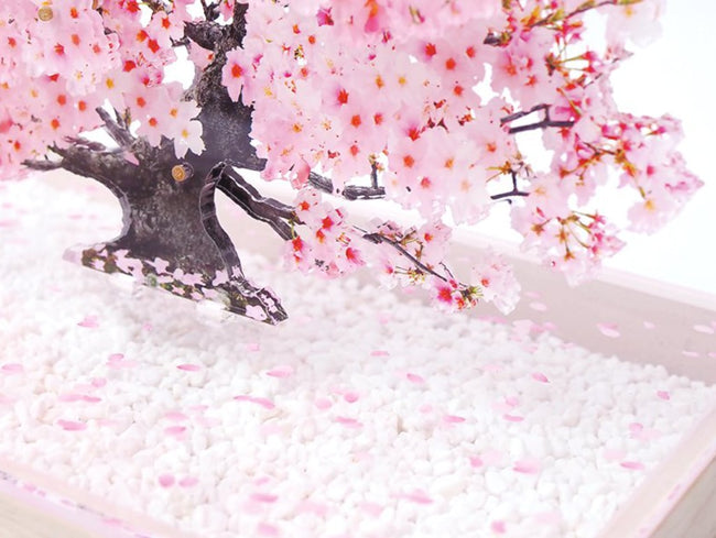 bonsai_sakura_3-min_650x.jpg?v bonsai_sakura_3-min_650x.jpg?v