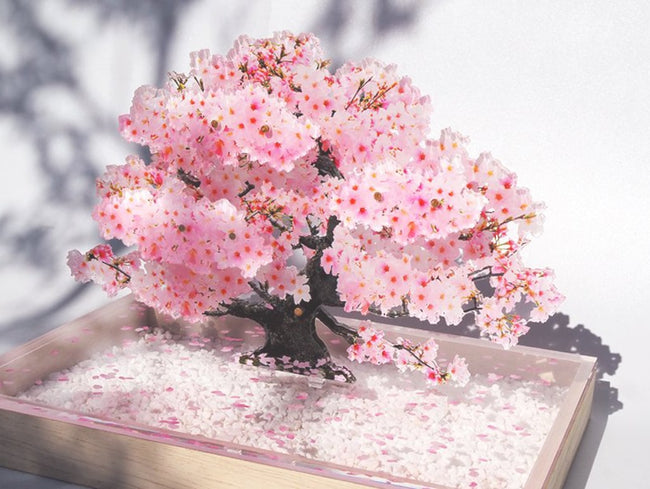 Bonsai Sakura | ボンサイ桜 by toumei | Generate Design