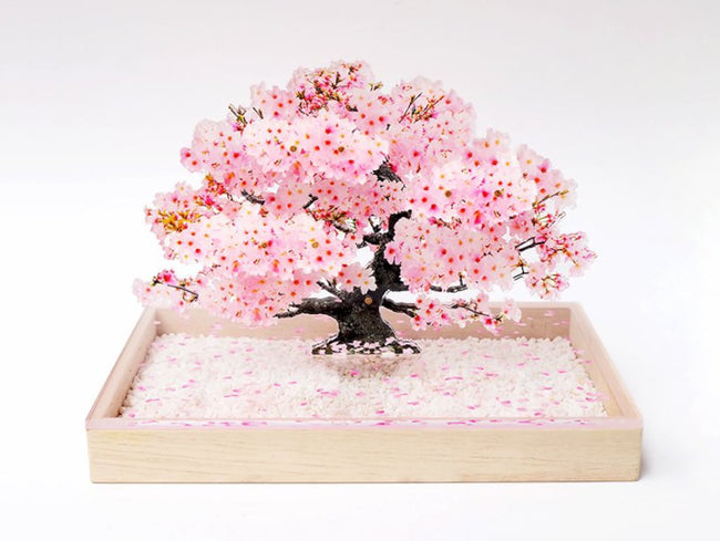 ★Sakura Saku☆絵画ギャラリー様★専用【特別栽培米 朝日】15kg 特別栽培米 サキホコレ 2kg | 商品詳細 | 高島屋オンラインストア