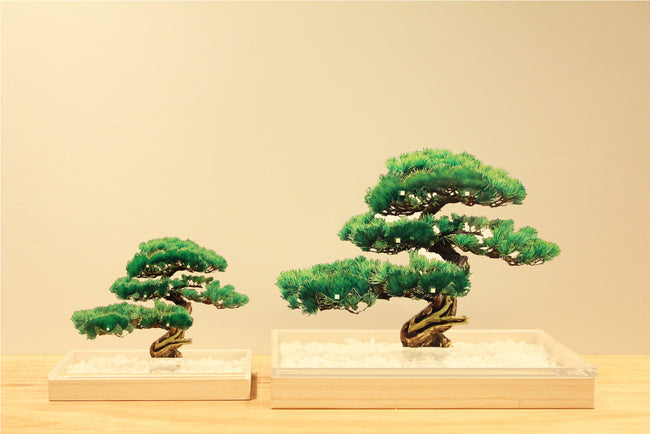 Bonsai | ボンサイ | toumei | Generate Design Bonsai | ボンサイ | toumei | Generate Design