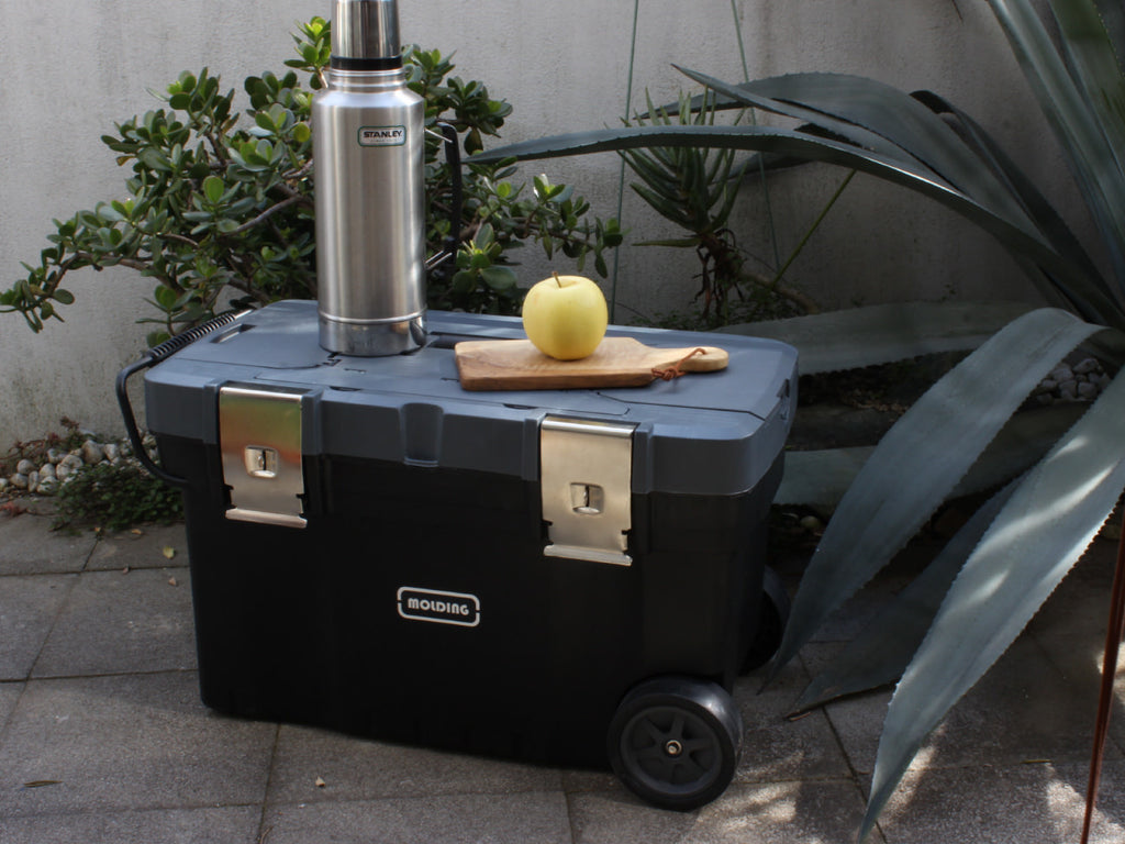 Trunk Box Cart 67L with Caster