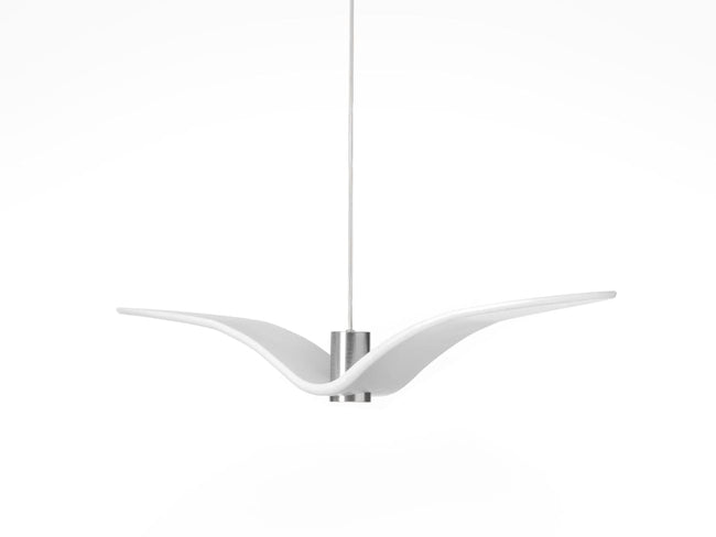 Night Birds Basic | ナイトバードベーシック by Boris Klimek